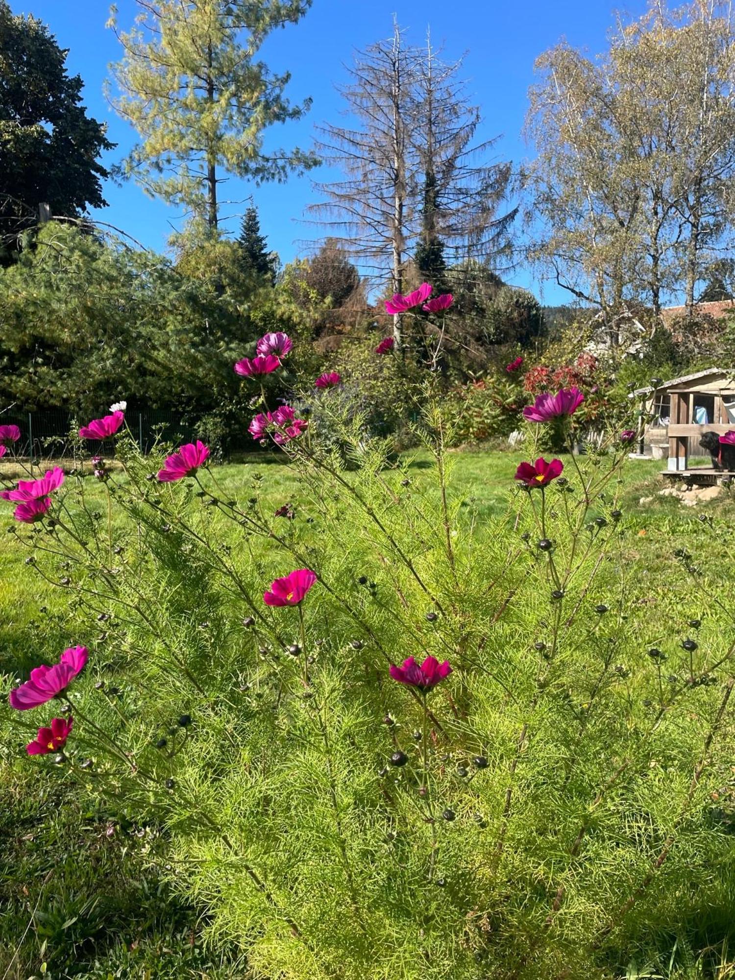 O Village Giromagny 외부 사진